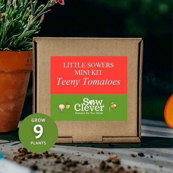 Sow Clever Little Sowers Grow Your Own Teeny Tomatoes