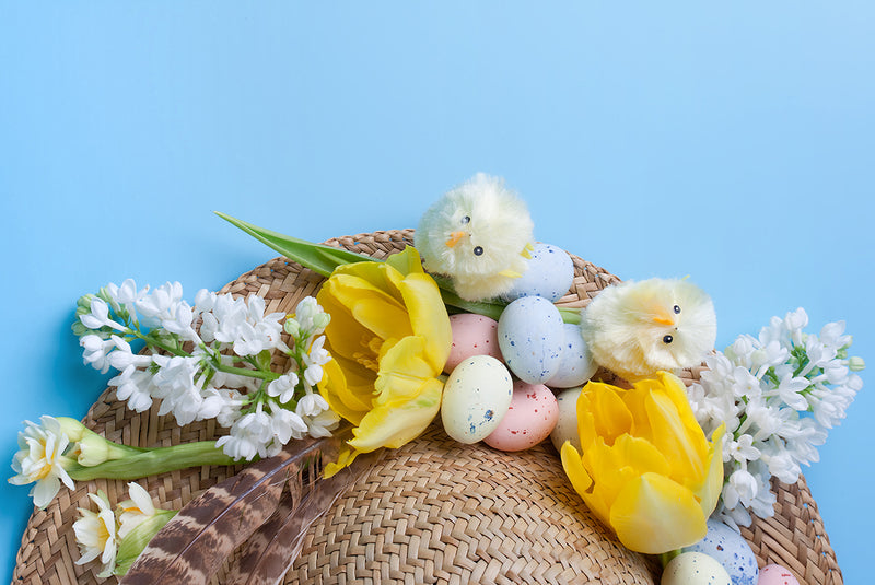 Fun Easter Crafts & Activities For The Whole Family