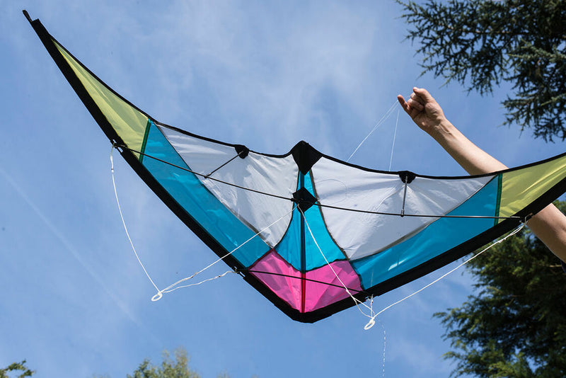 Stunt Kite (120cm x 60cm)