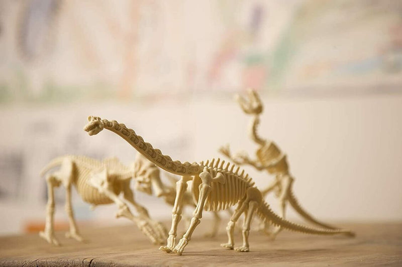 4M Kidz Labs Stegosaurus Skeleton Excavation Kit