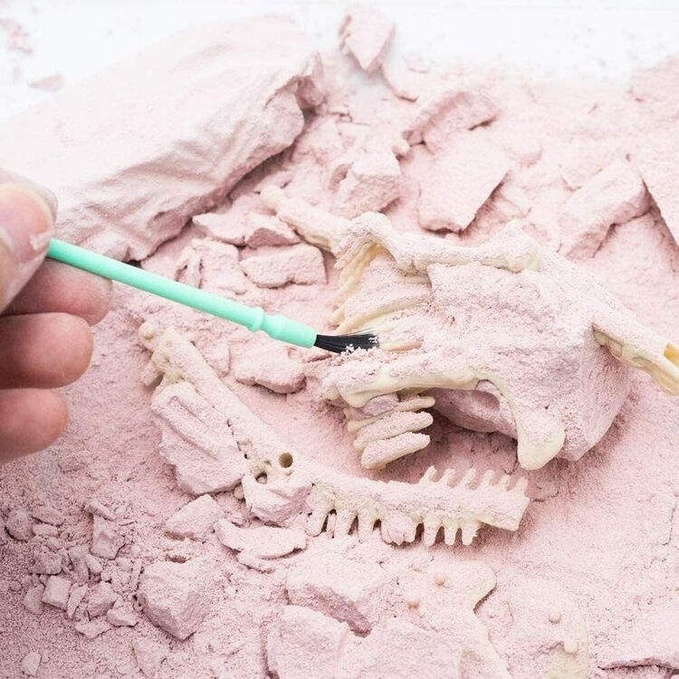 4M Kidz Labs Stegosaurus Skeleton Excavation Kit