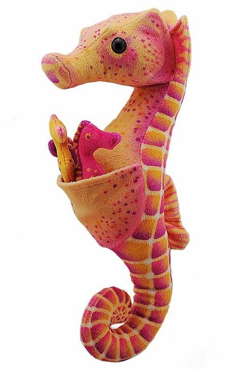 Seahorse Cuddlekins Soft Toy (30cm)