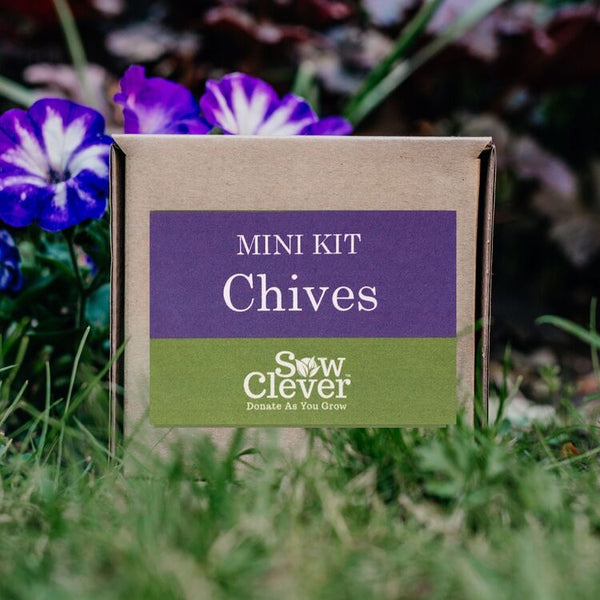 Sow Clever Grow Your Own Chives Mini Kit