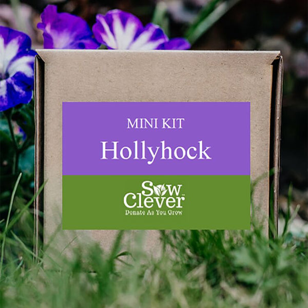 Sow Clever Grow Your Own Hollyhock Mini Kit