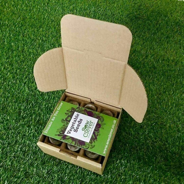 Sow Clever Grow Your Own Chives Mini Kit